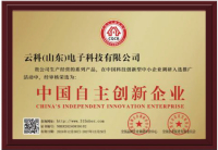 中国自主创新企业